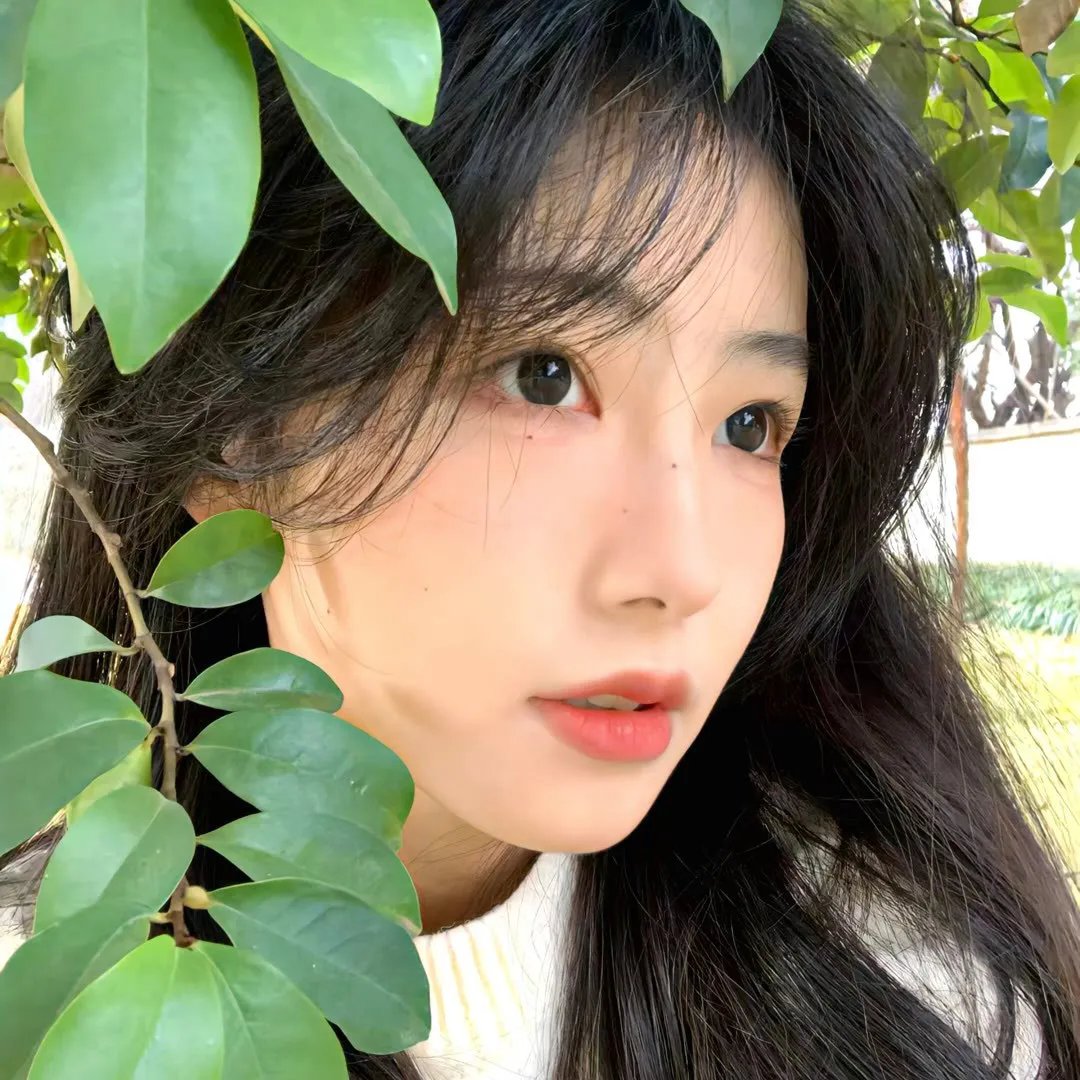科搜研之女第23季
