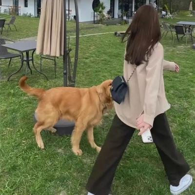 抬杠